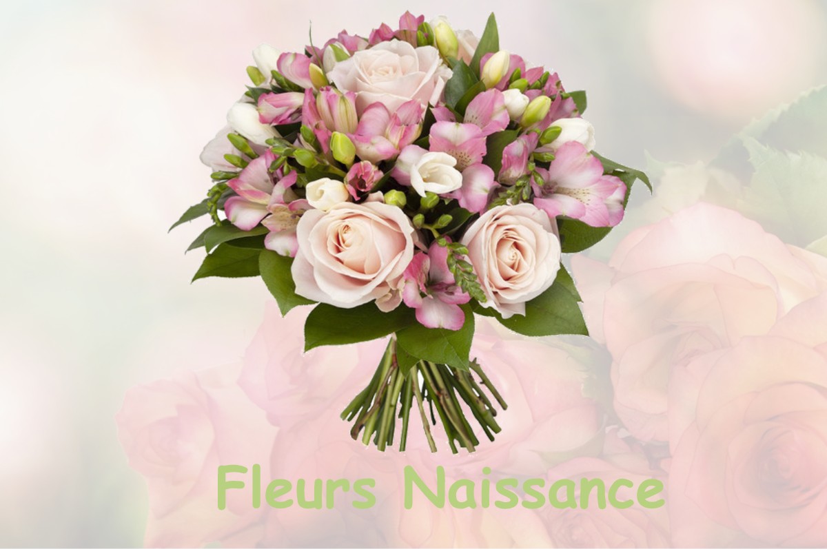 fleurs naissance GOURAINCOURT